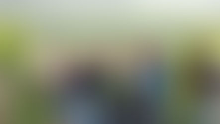 10 Best Wineries and Vineyards in Niagara - Part 2
