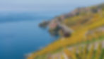lavaux-gaf6bf0feb_1920.jpg
