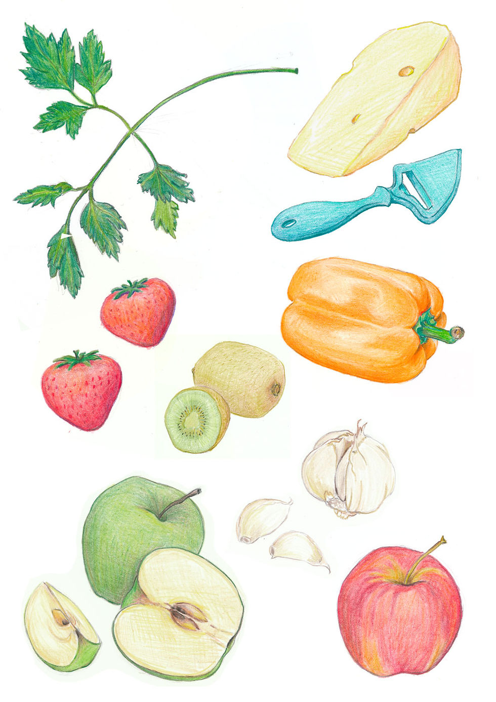 Fruit study