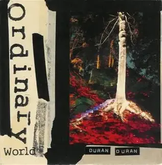 Ordinary World: 25 Years Later