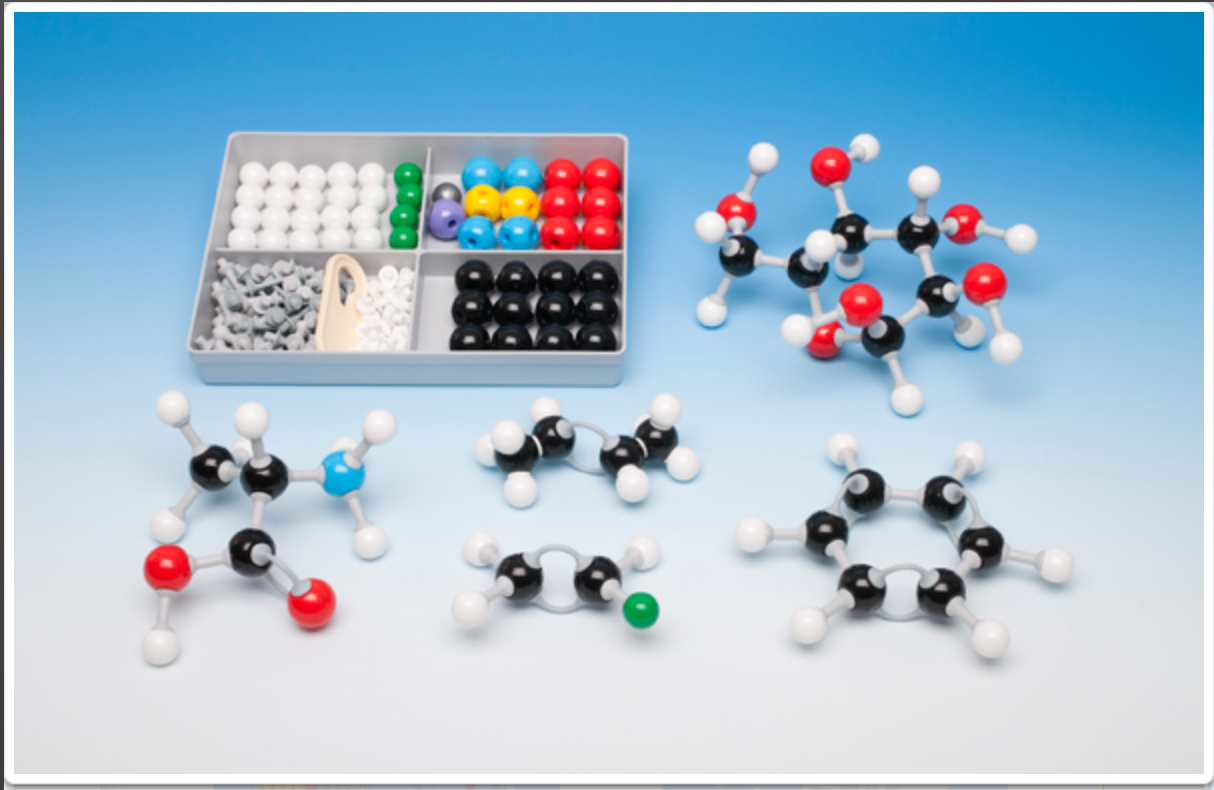Molymod Kit for Biochemistry Literacy Lessons