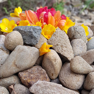 Flowercano Joel Oakey .jpg