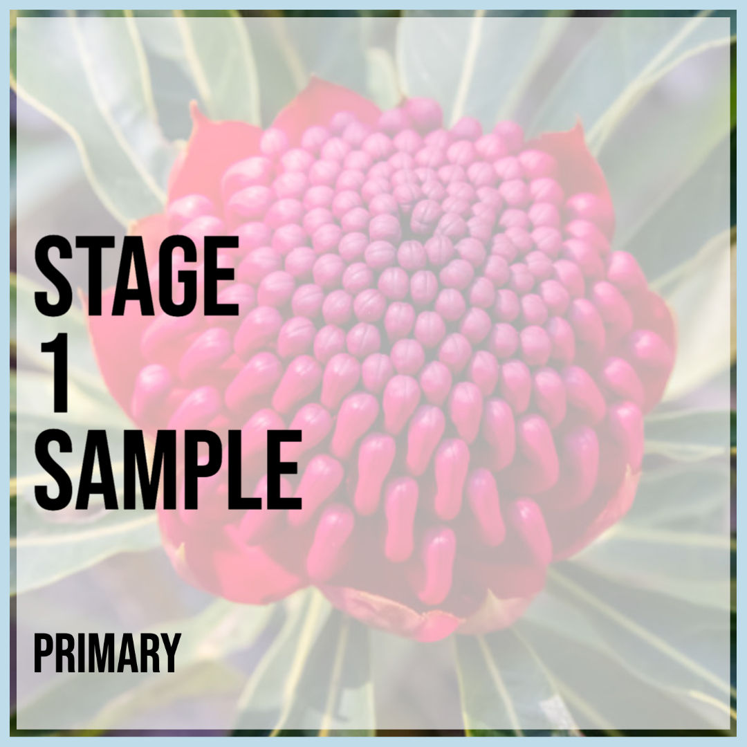 NSW Sample Plan: S1 "Sally"