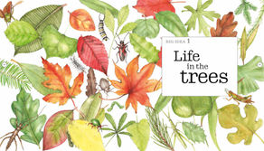 Book Review: Tree Beings