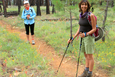 Hiking The North Rim - Grand Canyon