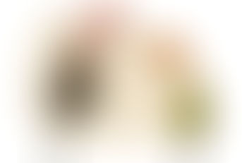 Conflict Resolution in The Modern Volunteer Fire Service