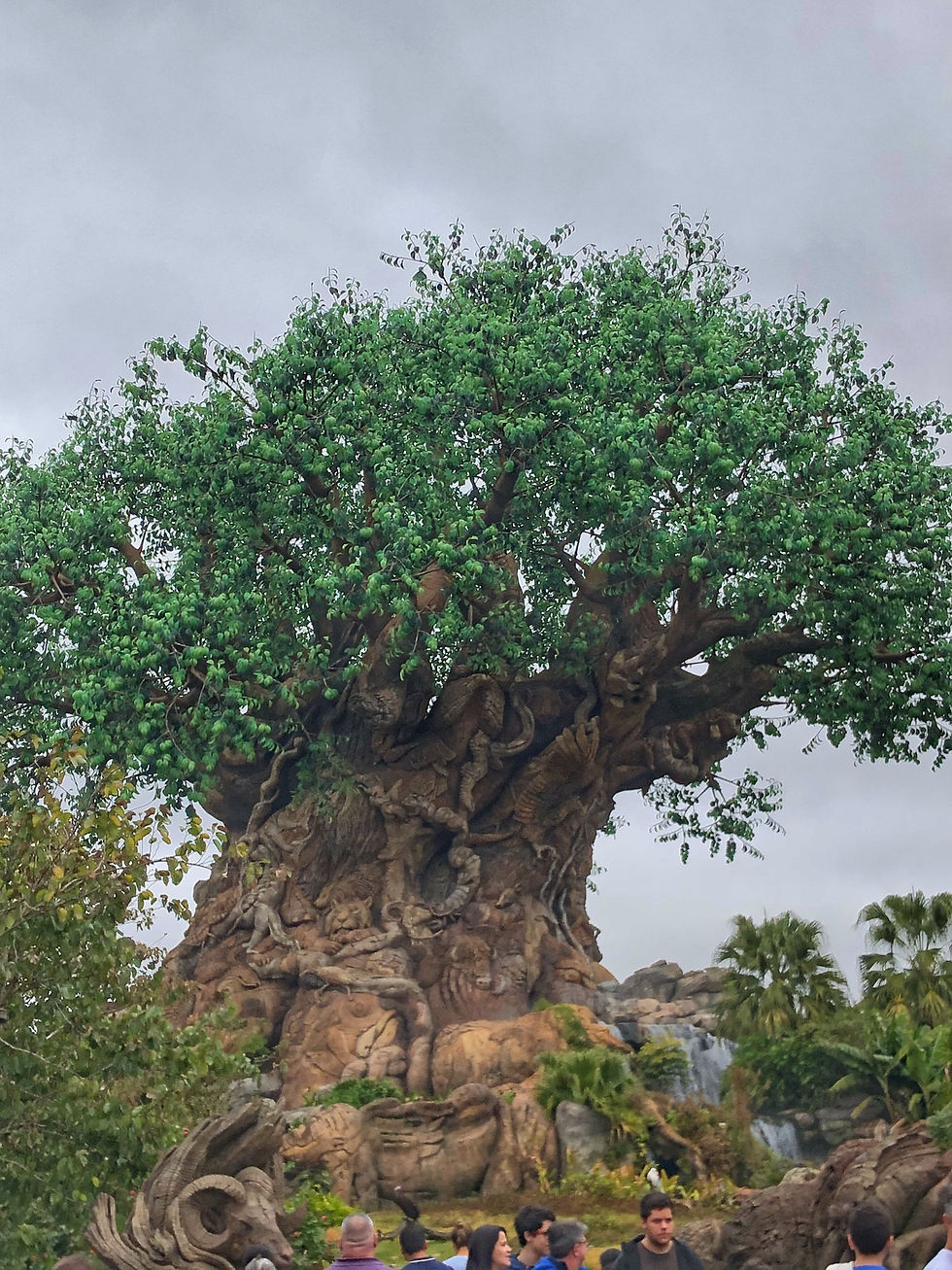 Animal Kingdom