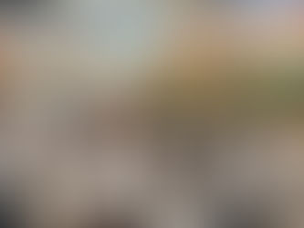 Disneyland Resort Donates Excess Food During Temporary Closure