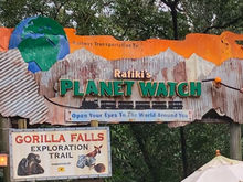 Conservation Station at Animal Kingdom Reopens July 11 Including the Brand New Animation Experience