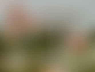 Unwrapping of 55 Disney Skyliner Gondolas at Walt Disney World Take Flight