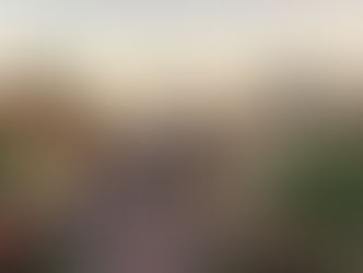 Disney World Updates Theme Park Hours for November - Adds an Hour for Magic Kingdom!