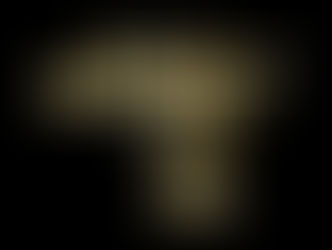 Star Wars: Galaxy’s Edge Opening Day Questions Answered for Disneyland Resort