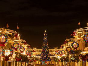 Watch Magic Kingdom Park Transform Into a Holiday Wonderland in Just One Night