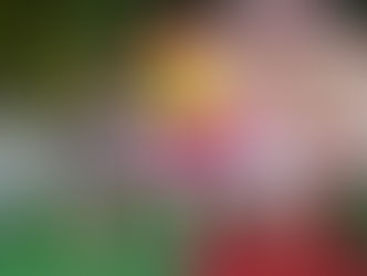 Disney Junior’s ‘Fancy Nancy’ Arrives at Disney’s Hollywood Studios