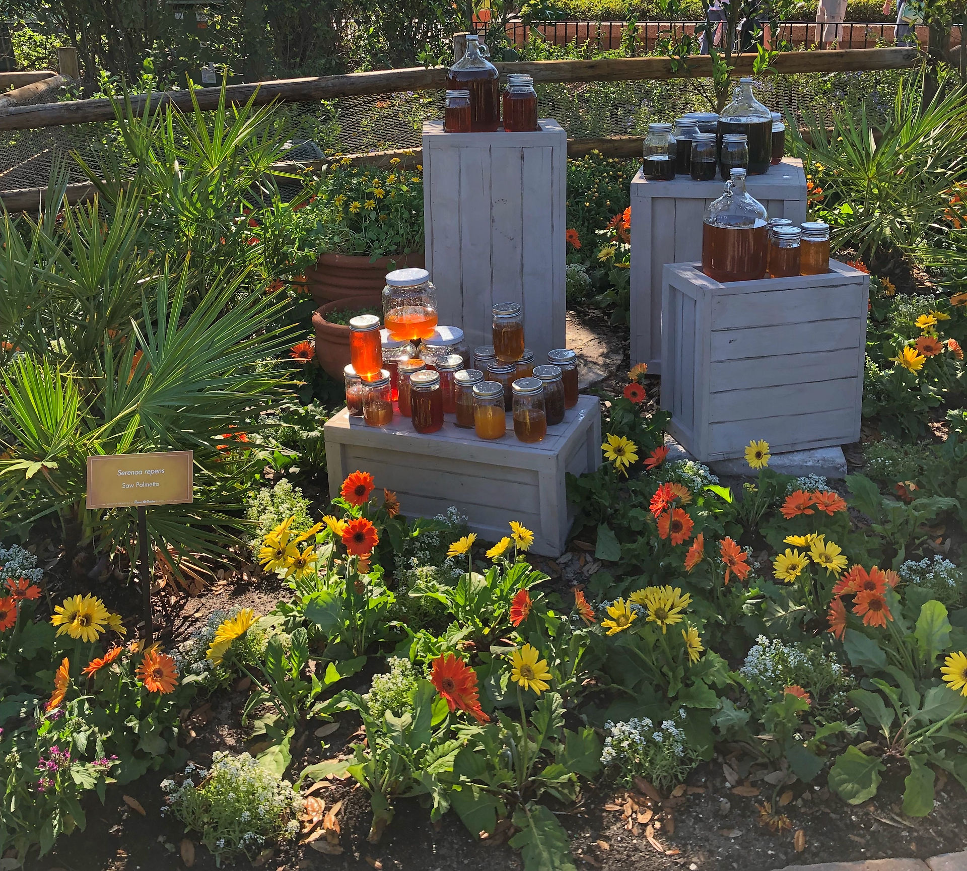 New Details About the Epcot International Flower & Garden Festival March 4 - June 1 