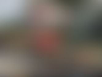 Skyliner Cabins for Disney's Skyliner Transportation System Arriving on Disney Property