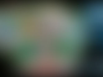 First Look at the Star Wars: Galaxy's Edge Guidemap at Disneyland Park