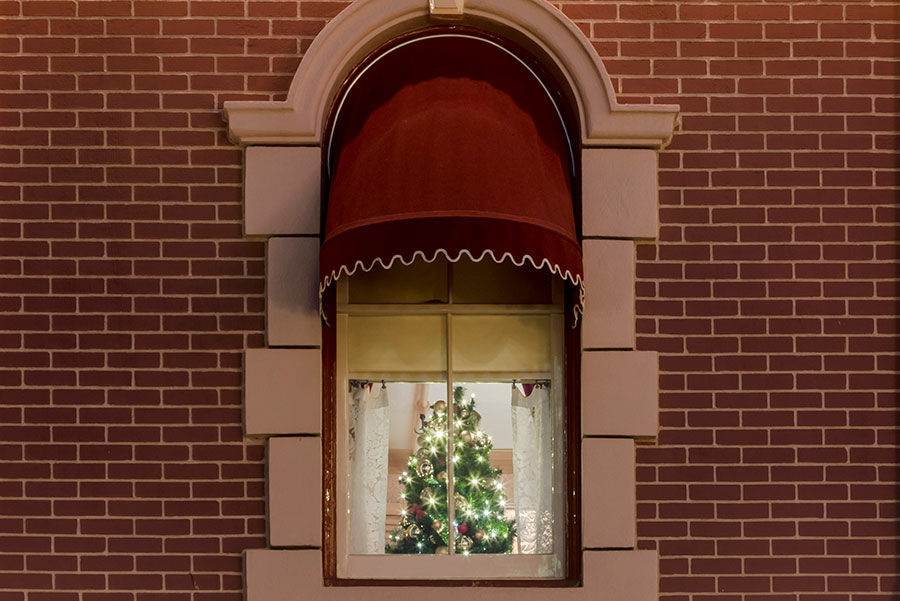 Happy Birthday Walt Disney! Take a Walk in Walt Disney's Footsteps at Disneyland Park