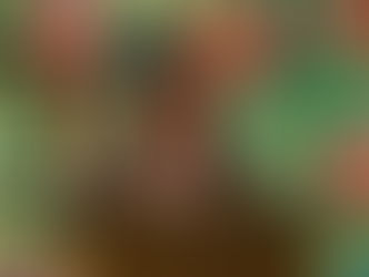 2017 Candlelight Processional Lineup Released