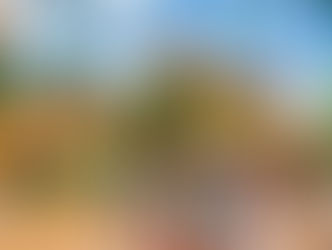 Fun Facts About Toy Story Land