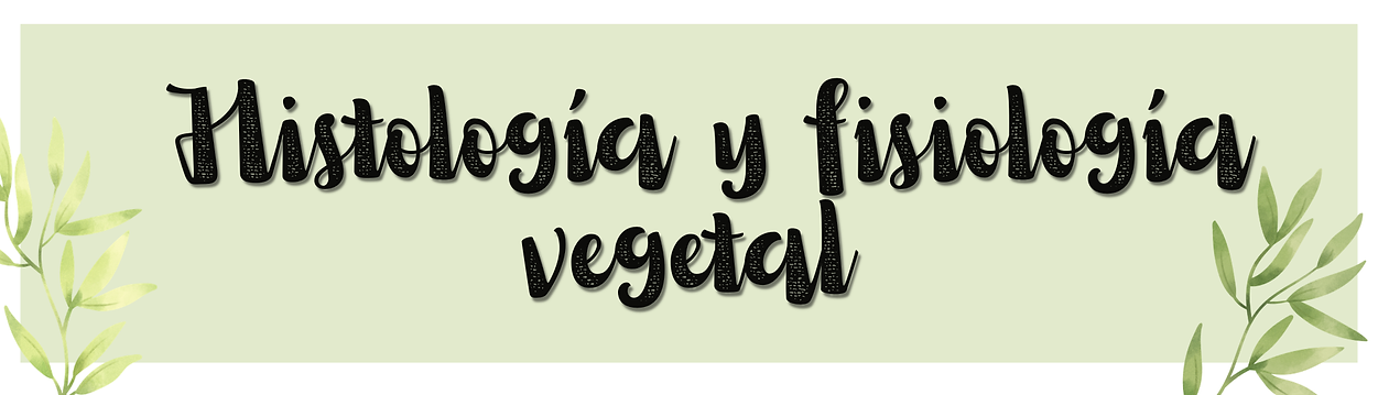 Docs Banner Plan de Estudio Llamativo Azul y Verde (1).png