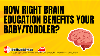 how right brain education benefit my baby toddler