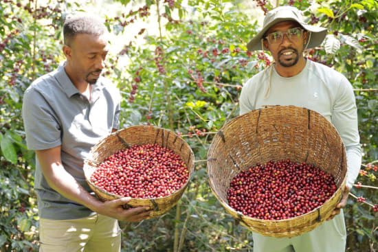 Thumbnail: Ethiopia Kanyon Mountain Organic