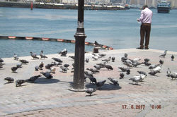 18595418_1440979719281569_53078298501772