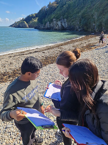 leaving cert geography field study | Branch Out