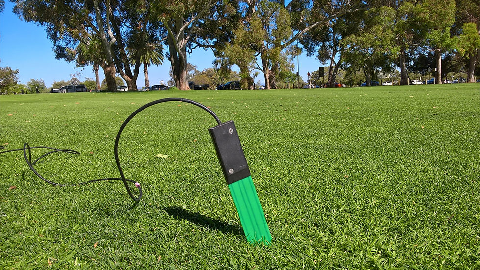 WP_20171201_15_41_11_Pro.jpg