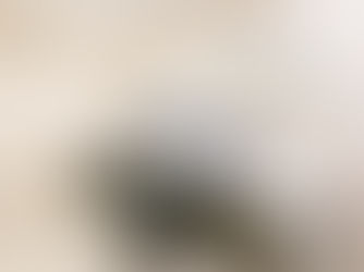 インフルエンザワクチン受付の終了のご案内