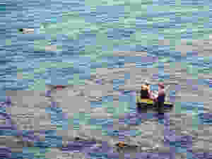 Sicily's crystal-clear waters—seen here off the coast of Ortigia—are home to an array of tasty creatures, from blue-fin tuna and swordfish to sardines and shrimp, all of which feature prominently in the island's cuisine.