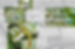 Landscape Architect Support Consultant in PWP Landscape Architecture for Singapore Changi Airport.