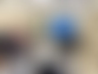 人間環境演習（3年生）の様子