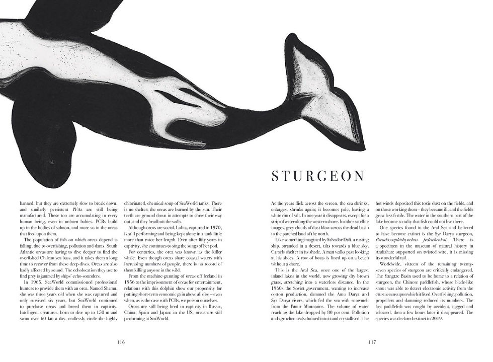 Thumbnail: The Book of Vanishing Species