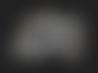 Happy New Year from Monkey Garage Door Company