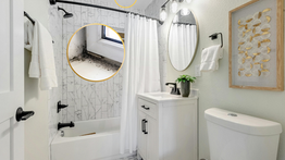 Is There Mold in Your Home? Here's What We Can Do.