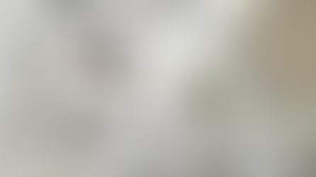 Is There Mold in Your Home? Here's What We Can Do.