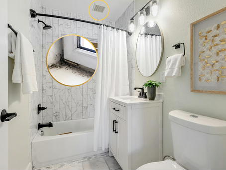 Is There Mold in Your Home? Here's What We Can Do.
