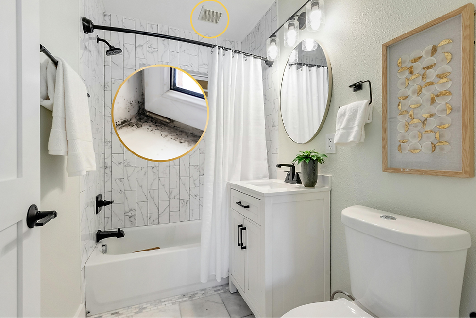 Is that a dehumidifier in your bathroom, or an exhaust fan?
