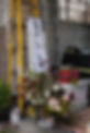 DSC_6744 copy 2.jpg