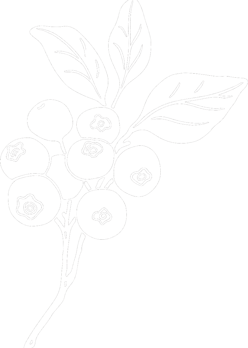 10_Blueberry_Branch_edited.png