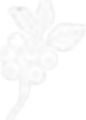 10_Blueberry_Branch_edited.png