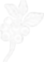 10_Blueberry_Branch_edited.png