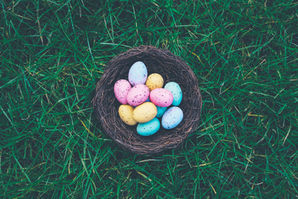 Spring is in the Air