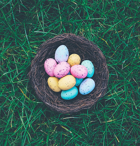 Eggs in a Basket