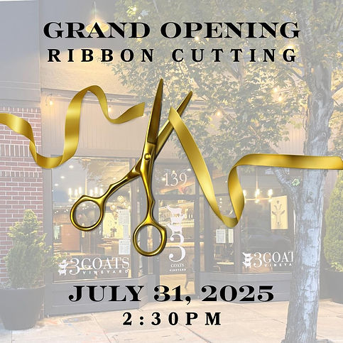Ribbon Cutting - 073125.jpeg