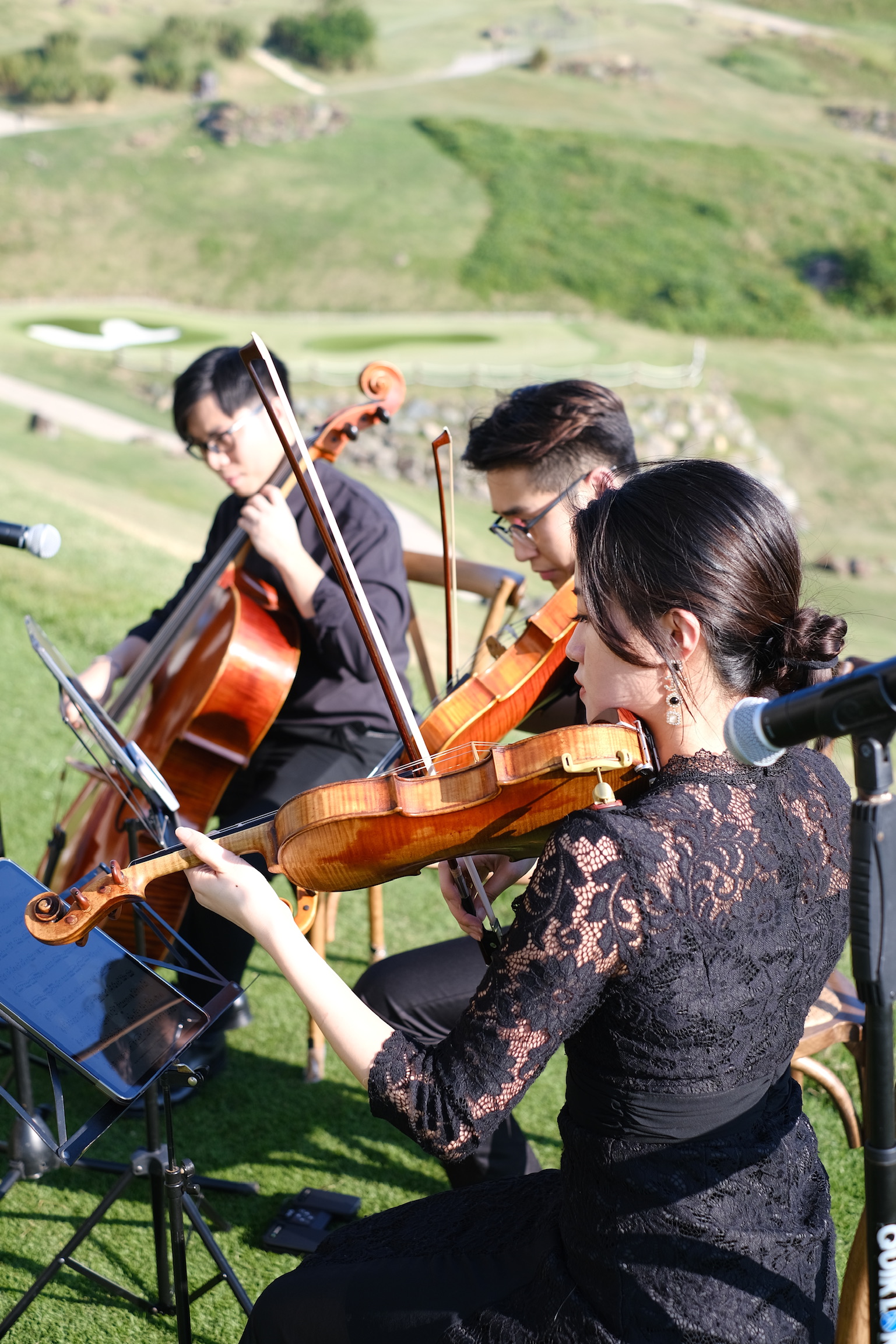 Wedding classical ensemble