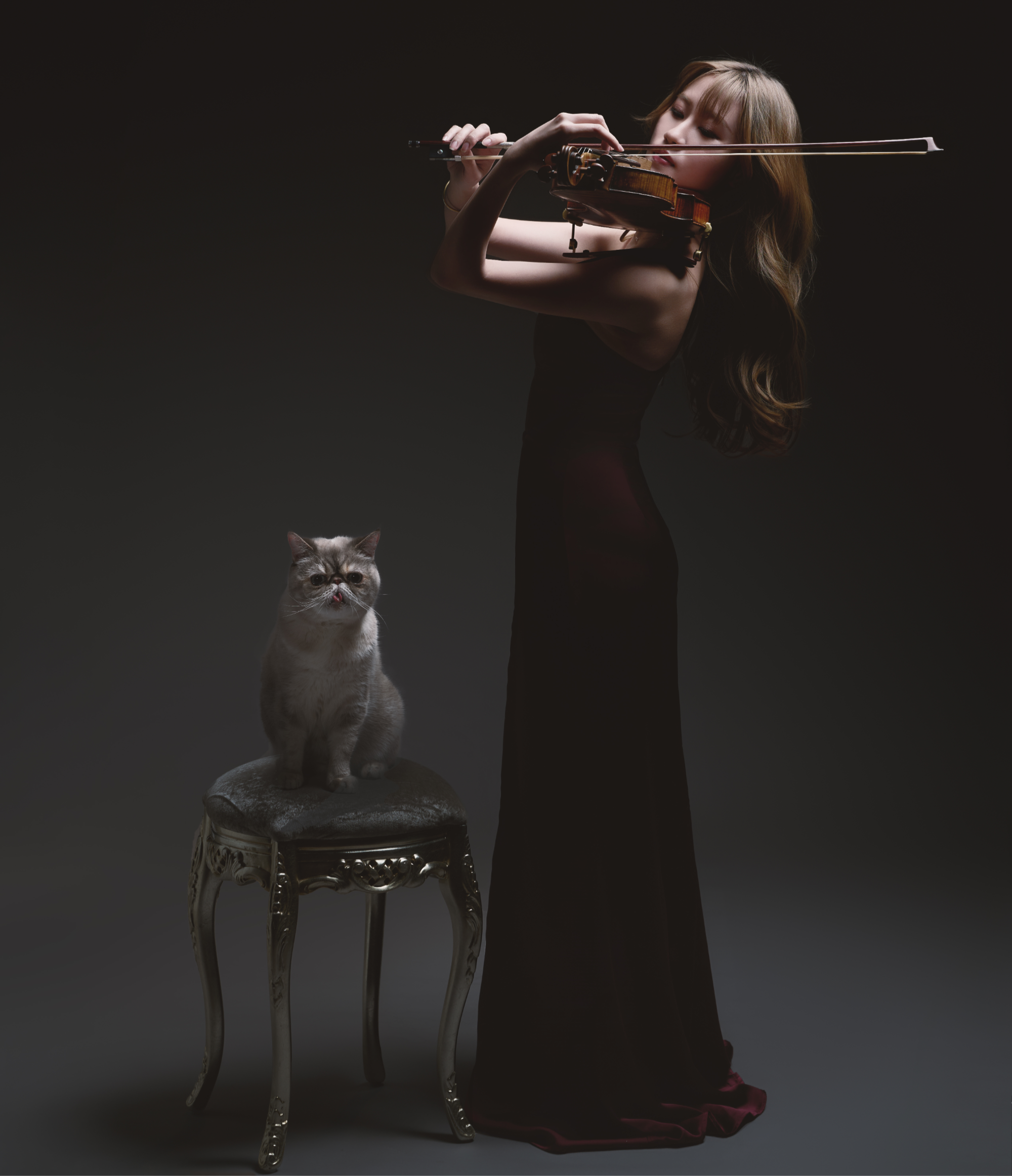 Solo ensemble