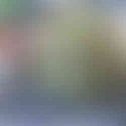 Fermented cabbage leaves in a glass bowl